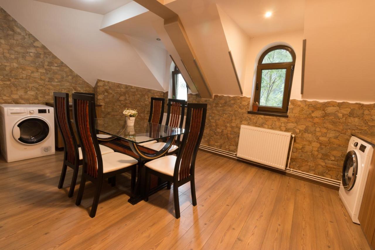 Downtown Park Loft Apartment Sinaia Ngoại thất bức ảnh