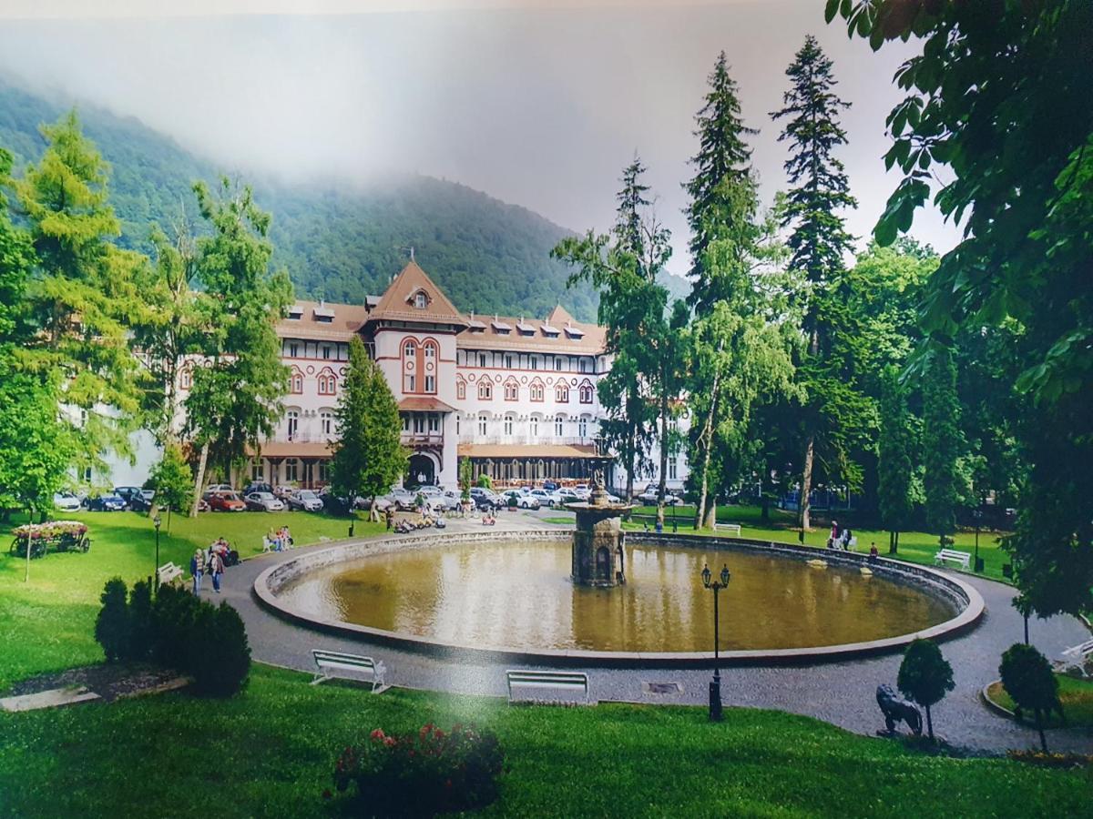 Downtown Park Loft Apartment Sinaia Ngoại thất bức ảnh